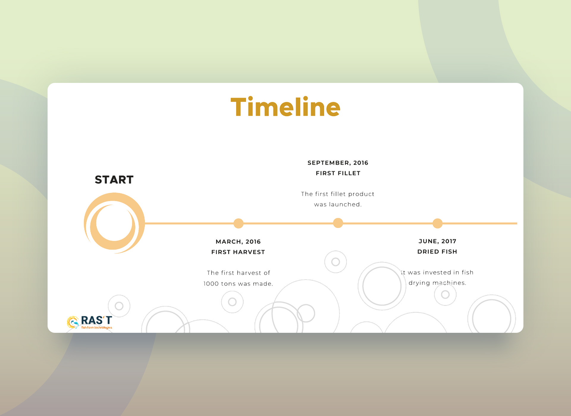 Pitch Deck Timeline Slide